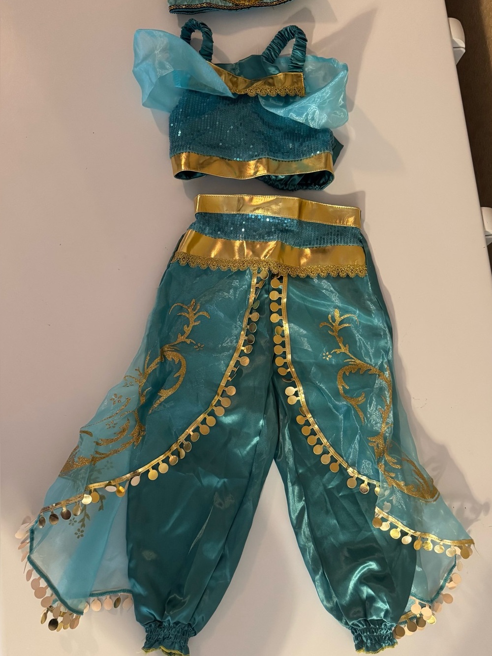 Princess Jasmine Costume